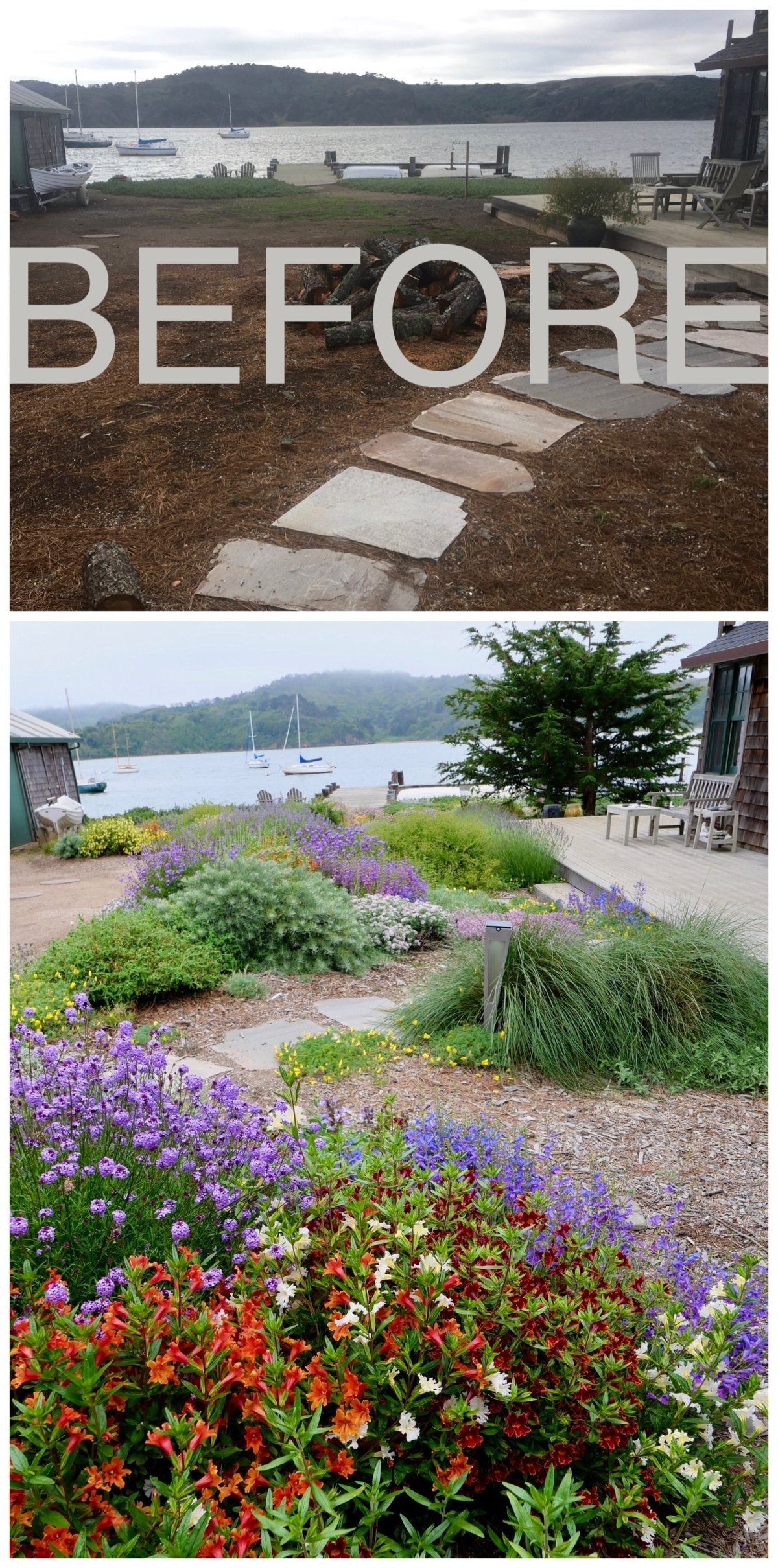 Marin County landscape designers