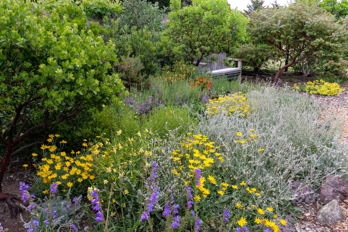 Suzi Katz Garden Design Of Marin County, California