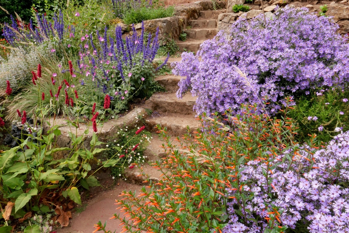 Marin County landscape design 